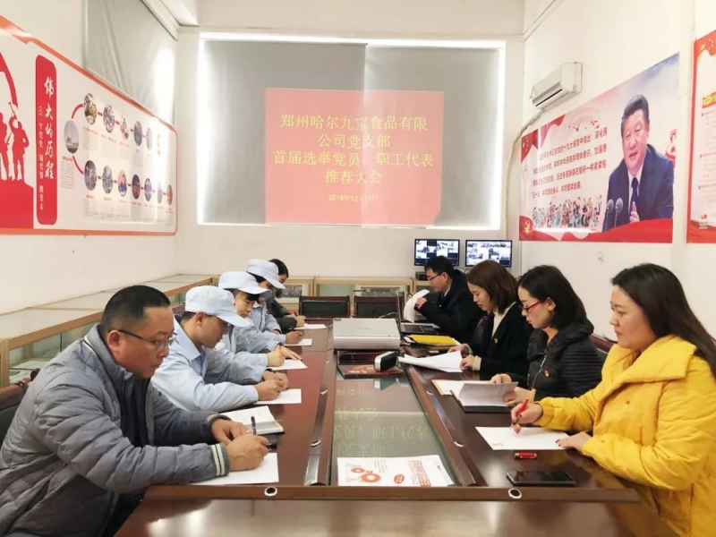 云顶集团党支部，首届选举党员、职工代表推荐大会